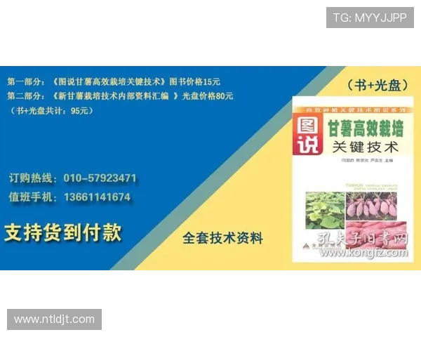 孙兴慜技术动作分析：深入解析其高效进攻的关键技巧与特点